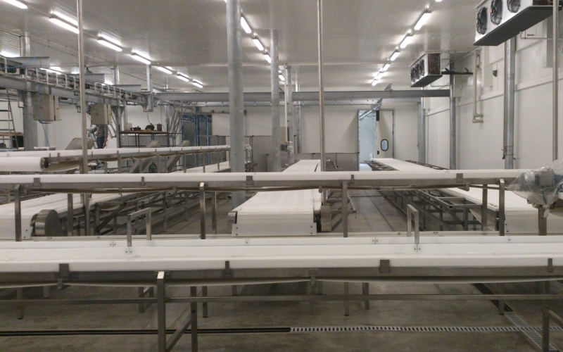 Firma RIGO - Obsługa w zakresie utrzymania ruchu